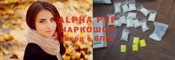 трава Коряжма