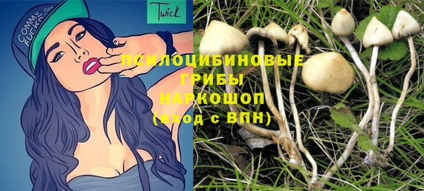 бошки Корсаков