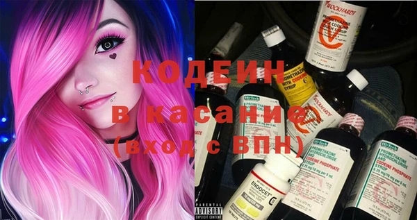 трава Коряжма