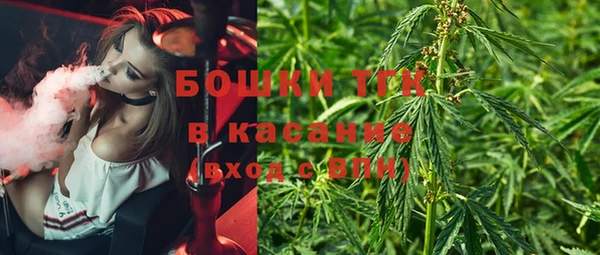 трава Коряжма