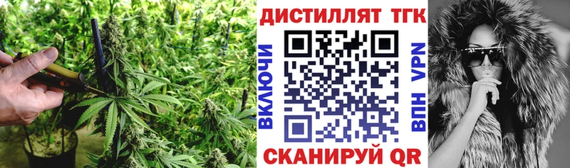 Купить где  Котельниково  ТГК гашишное масло 